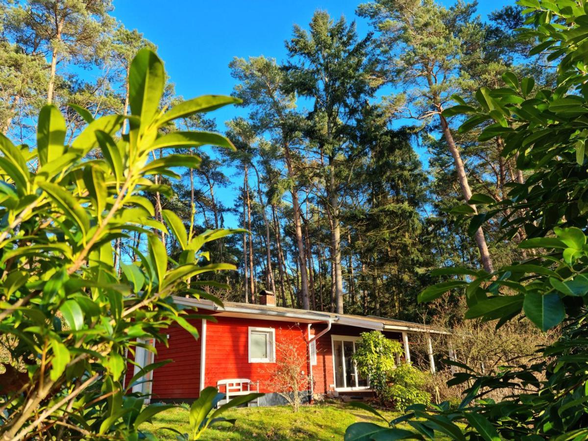 Waldhaus Doetlingen Ferienhaus Im Naturpark Exteriör bild