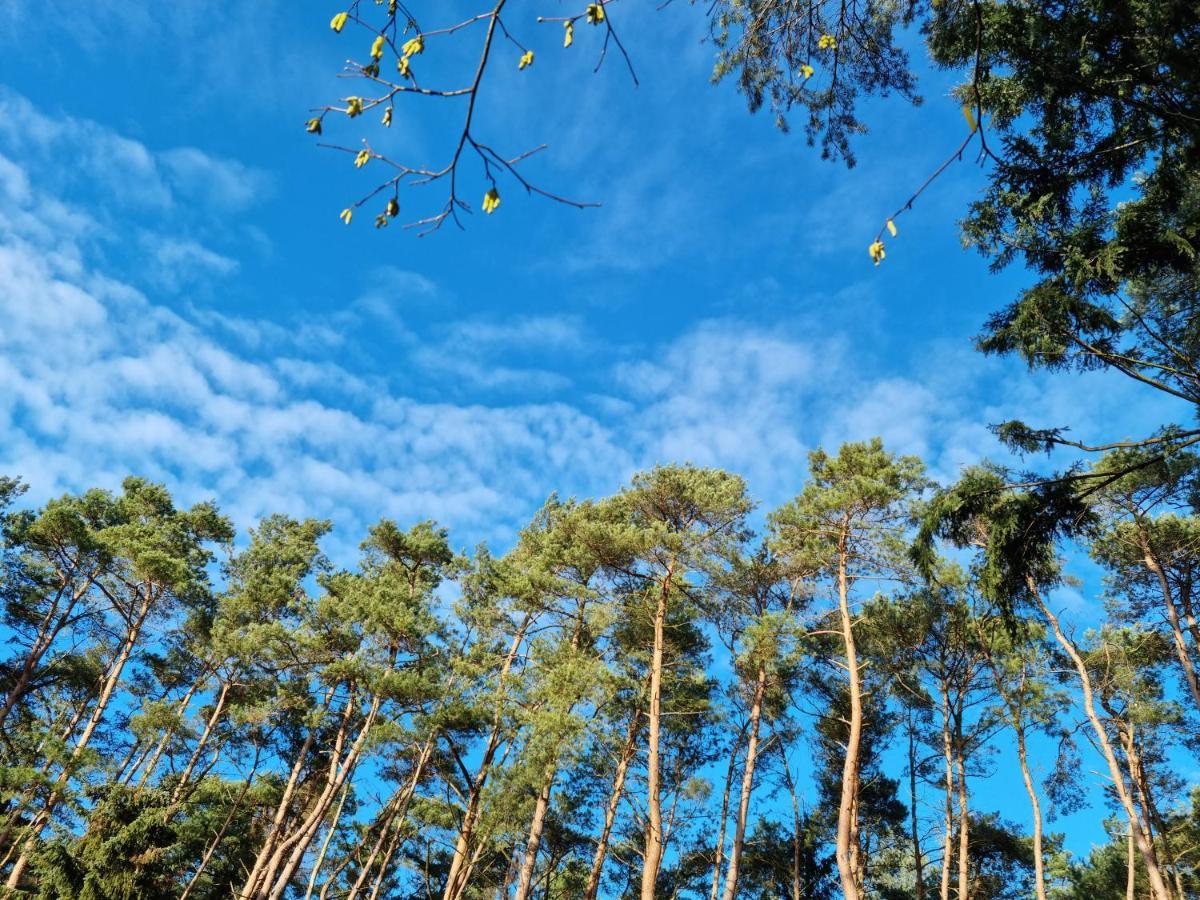 Waldhaus Doetlingen Ferienhaus Im Naturpark Exteriör bild