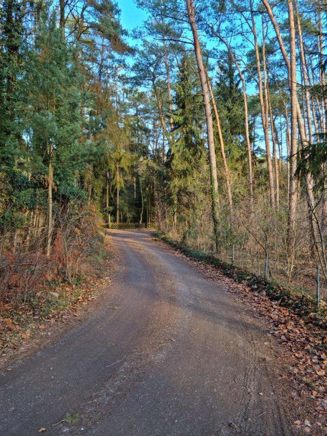 Waldhaus Doetlingen Ferienhaus Im Naturpark Exteriör bild